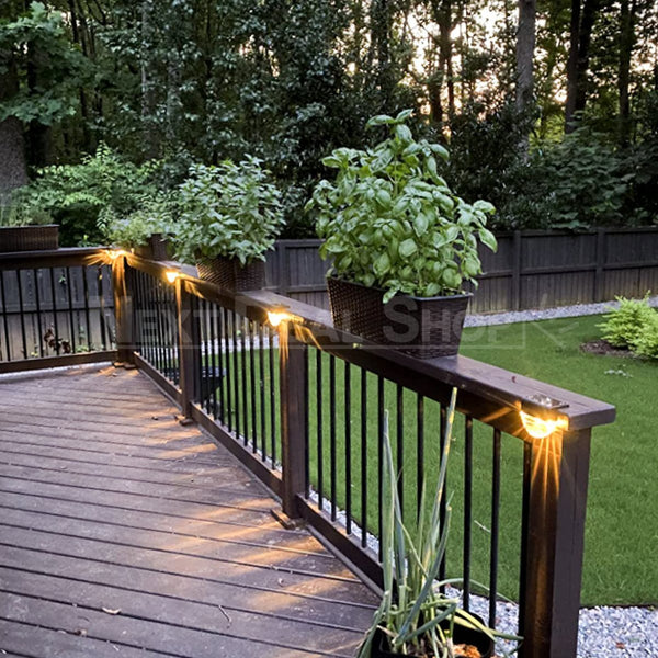 Solar Powered Shell Lamp – nextdealshop.com