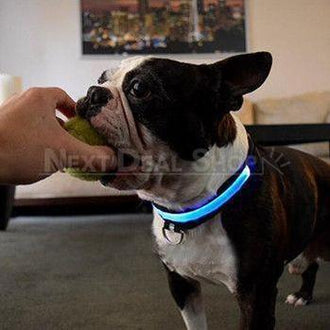 Solid Blue Nylon LED Pet Collar