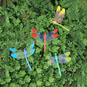 Vibrant Dragonfly Decorations