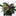 Vibrant Dragonfly Decorations-View 2-Next Deal Shop