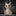 Voodoo Doll Incense Cone Burner-View 2-Next Deal Shop